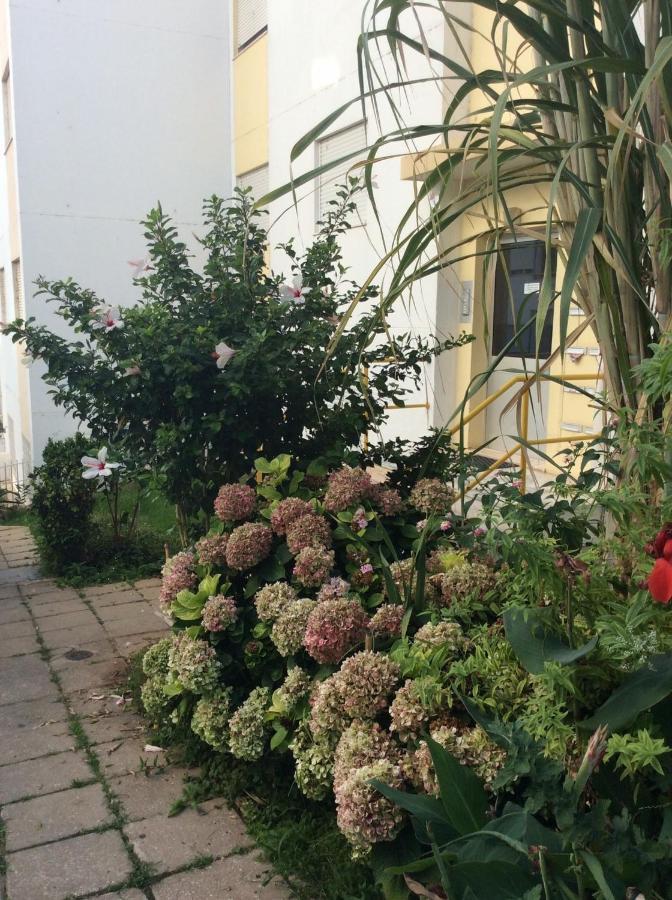 Jardim Das Flores FAO Exteriör bild